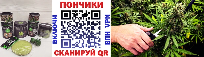 Cannafood конопля дарк нет наркотические препараты Октябрьск
