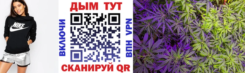 Каннабис индика Октябрьск